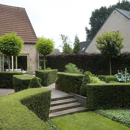 Eeklo_-_M[2]._Vermeulen-Nigella_006.jpg